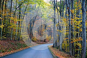 An empty road overlooking the striking colors of fall foliage near Colton Point State Park, Wellsboro, Pennsylvania, U.S