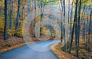 An empty road overlooking the striking colors of fall foliage near Colton Point State Park, Wellsboro, Pennsylvania, U.S