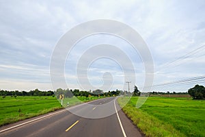 Empty road pass trough green rice field