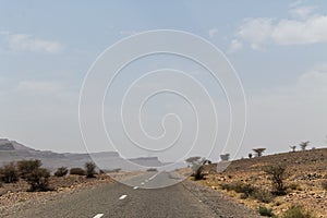 Empty road in southern Morocco with mountains in the background