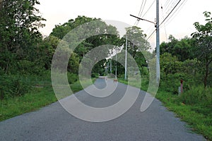 Empty road spaces on both sides of the road filled with tropical trees and rural roads in the morning.