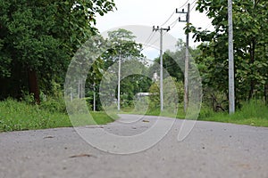 Empty road spaces on both sides of the road filled with tropical trees and rural roads in the morning.