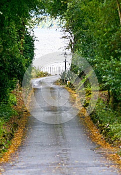 Empty road to Muckross Estate, Ireland