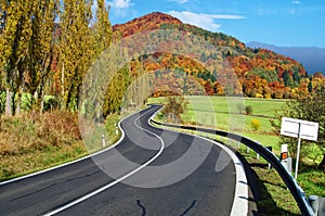 The empty road towards the wooded mountain flamboyant of colours autumn