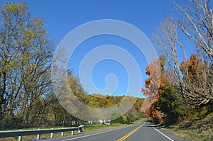 Empty road with trees and blue sky