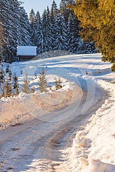 Snow-covered trees and bending empty, forest road in winter, Styria, Austria, Europe photo