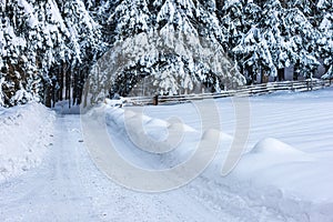 Snow-covered trees and empty, forest road in winter , Styria, Austria, Europe photo