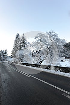 Empty road in winter season