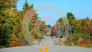 Empty rolling road running past the scenic forest changing colors in autumn.