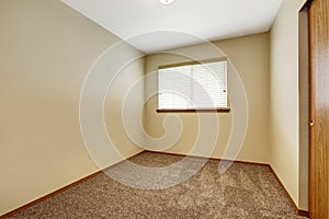 Empty room with brown carpet floor