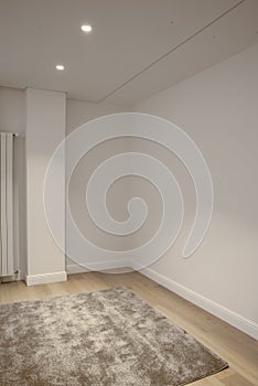 Empty room with carpet