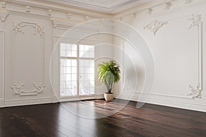 Empty room with classic wall paneling photo