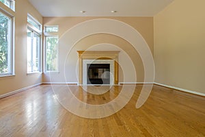 Empty Room with Fireplace