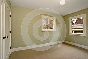 Empty room with green interior and carpet.