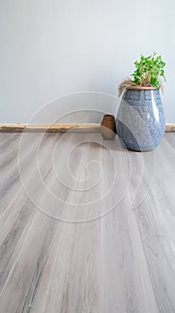 Empty room interior background beige wall pot with plant