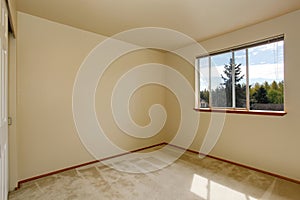 Empty room interior with carpet floor