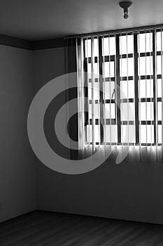 Empty room in monochrome  shadows