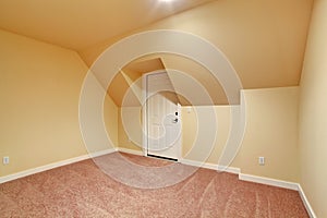 Empty room with vaulted ceiling