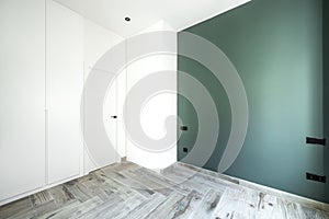 Empty room with wood-like stoneware floors, smooth green wall