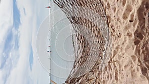 an empty rope hammock swings in the wind on the beach by the sea, windsurfers ride on the horizon of the sea, calm sunny