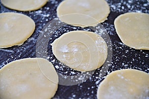 An empty rounds dough with flour powder