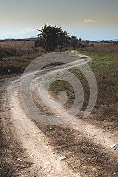 Empty rural curved secondary road through the field