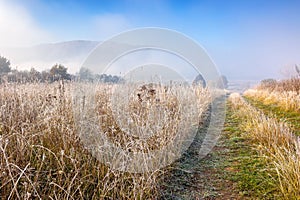empty rural fields in morning mist