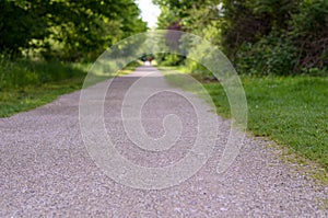 Empty rural road through leafy spring woodland