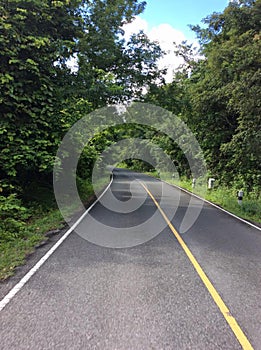 Empty Rural Road With Thick Foilage And Overhanging Branchs On Either Side; Thailand; Southeast Asia.