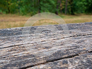 Empty rustic table in front of countryside background. Empty space of green forest. Wood table top in front of of trees in the for