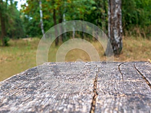 Empty rustic table in front of countryside background. Empty space of green forest. Wood table top in front of of trees in the for