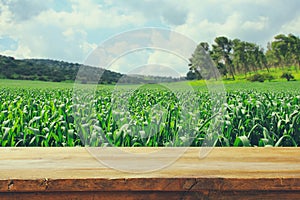 Empty rustic table in front of countryside background. product display and picnic concept.