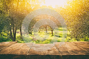 Empty rustic table in front of countryside background. product display and picnic concept