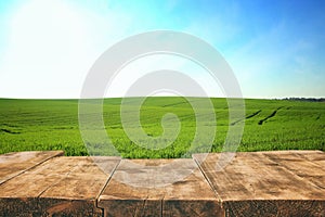 Empty rustic table in front of countryside background. product display and picnic concept