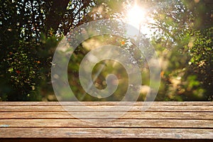 Empty rustic table in front of countryside background. product display and picnic concept