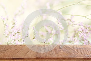 Empty rustic table in front of countryside background. product display and picnic concept