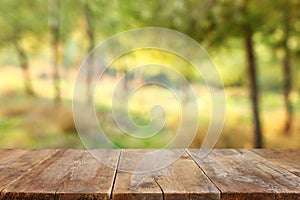 Empty rustic table in front of countryside background. product display and picnic concept