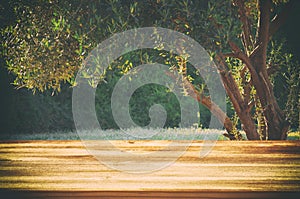 Empty rustic table in front of dreamy bokeh countryside background