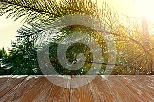 Empty rustic wood table top on christmas tree branches background with spider web in forest. Can montage or display your products