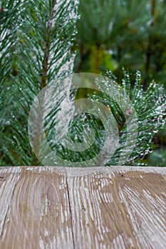 Empty rustic wood table top on christmas tree branches background with spider web in forest. Can montage or display your products