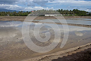 Empty salt fields