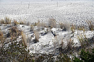 Empty Winter Beach with Fence