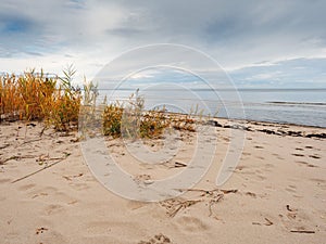 Empty sand dunes of Jurmala beach on Riga gulf, Latvia, Calm and peaceful scene. Nobody, Animals foot prints on the sand. Blue