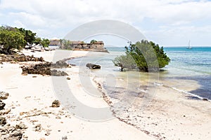 Empty sandy beach of Mozambique island, mangroves and remains of a colonial house, Indian ocean. Nampula. Portuguese East Africa.