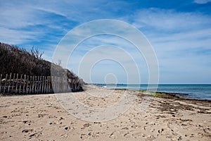 Empty sandy beach of Puglia