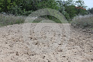 Empty sandy gallop track is a good addition