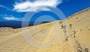 Empty sandy road track directly at water for 4x4 car trips on the sea coast along sand dunes - Pan de Azucar, Chile