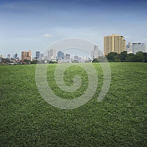 An empty scene of green grass field and office building city