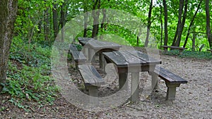 Empty seat wood with table bench in the summer forest with green plant, trip