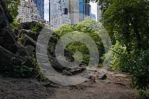 Empty Shaded Trail at Central Park in New York City with Rocks and Green Trees during Spring and a view of Midtown Skyscrapers